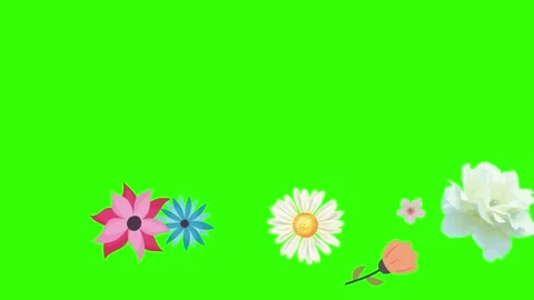 Group of spring flowers animation elements on green screen chroma key Stock Footage 168910897