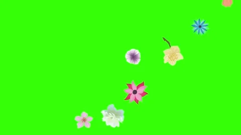 Group of spring flowers animation elements on green screen chroma key 動画素材 168910902