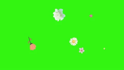 Group of spring flowers animation elements on green screen chroma key Stock Footage 168910905