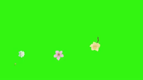 Group of spring flowers animation elements on green screen chroma key Stock Footage 168910906