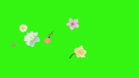 Group of spring flowers animation elements on green screen chroma key Stock Footage 168910907