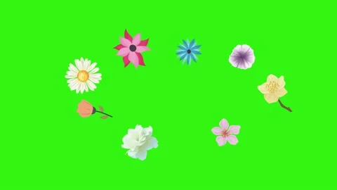 Group of spring flowers animation elements on green screen chroma key Stock Footage 168910912