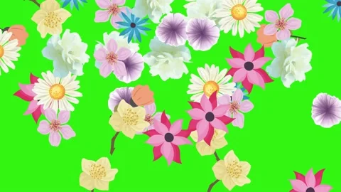 Group of spring flowers animation elements on green screen chroma key Stock Footage 168910915
