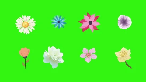 Group of spring flowers animation elements on green screen chroma key Stock Footage 168910916