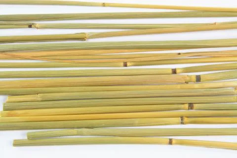 Group of stalks. Stock Photos