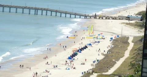 Group Standing on Sandy Beach Stock Footage 262292123