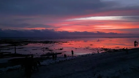 A group stands around a campfire on the beach at sunset Stock Footage 312235038