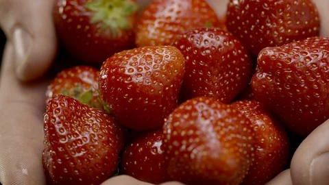 A group of strawberries being washed by hand Stock Footage 128720271
