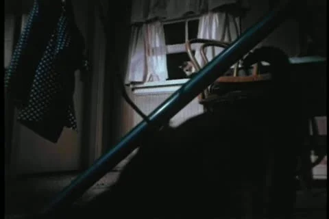 Group of stray cats invading a house at night Stock Footage