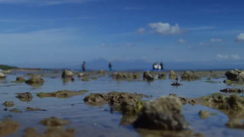 Group strolling along rocky beach by the water and under a cloudy sky Vidéo 267185040