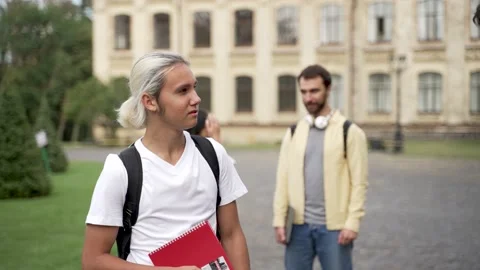 Group of students in campus park before classes Stock Footage 163280295