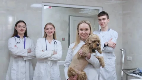A group of students in the operating room of a veterinary clinic hold a dog in Stock Footage 238919160
