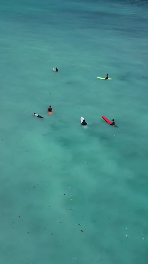 Group Of Students Practicing Surfing In Peaceful Turquoise Waters Vidéo 332872771