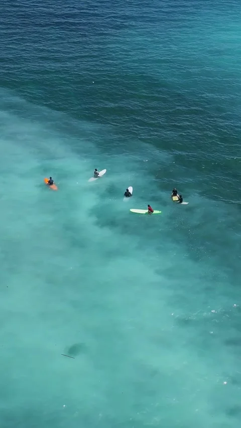 Group Of Students Practicing Surfing In Peaceful Turquoise Waters Видео 335326966