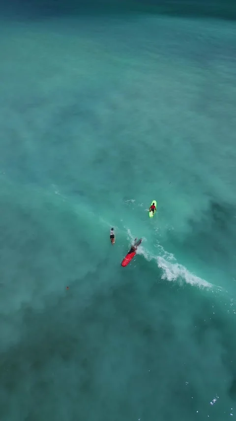 Group Of Students Practicing Surfing In Peaceful Turquoise Waters Stockbeeldmateriaal 335327115