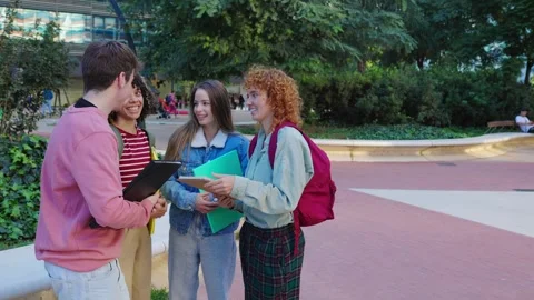 Group of students reviewing notes before an exam near university building Stock Footage 290512436