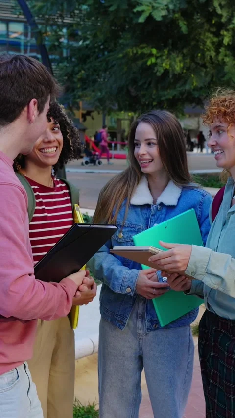 Group of students reviewing notes before an exam near university building Stock Footage 312199888