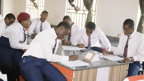 Group of students in school campus discussing and  walking together Stock Footage 252329006