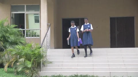 Group of students in school campus discussing and  walking together Stock Footage 252348141