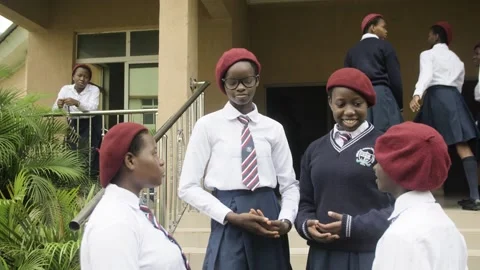 Group of students in school campus discussing and  walking together Stock Footage 252348941