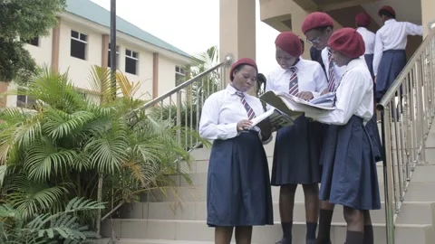 Group of students in school campus discussing and  walking together Stock Footage 252349889
