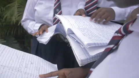 Group of students in school campus discussing and  walking together Stock Footage 252350113