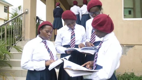 Group of students in school campus discussing and  walking together Stock Footage 252364067