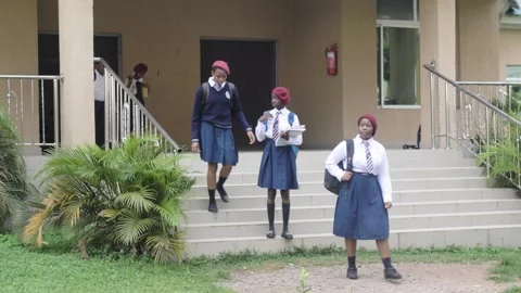 Group of students in school campus discussing and  walking together Stock Footage 252364244