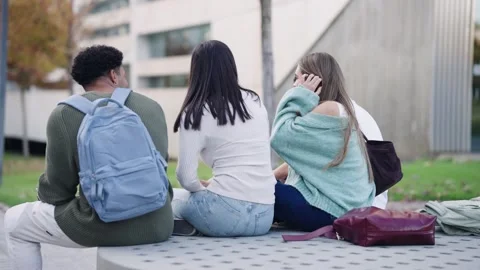 Group of students sitting and talking together on campus Stock Footage 332154087