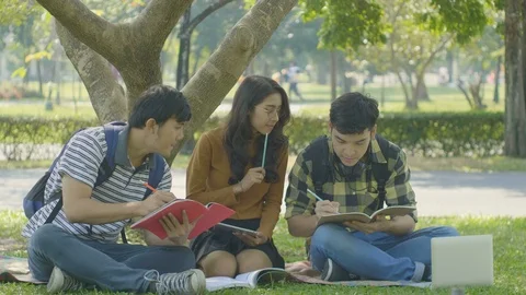 Group of students sitting in the park. Stock Footage 86018414