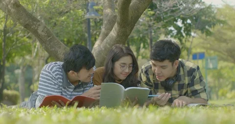 Group of students sitting in the park. Video stock 86018652