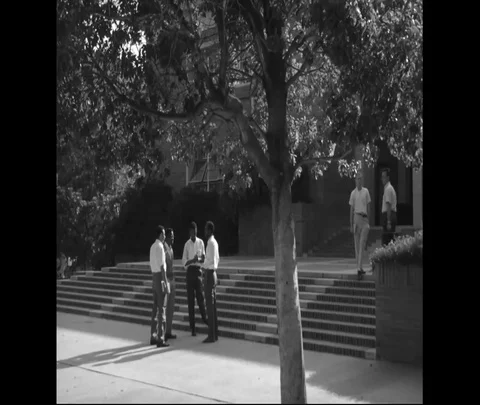Group of students talk on the campus of UCLA School - 1966 Stock Footage 101721850