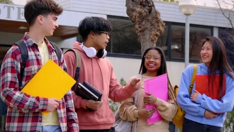 Group of students walk on the university campus. College classmates talking Stock Footage 219727593
