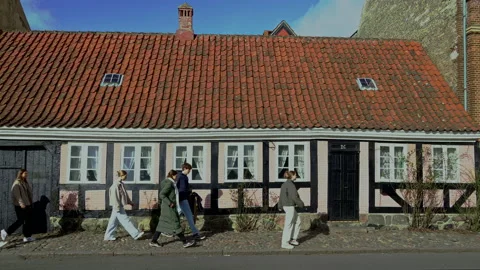 Group of students walking in front of a typical Danish house Video stock 197499202