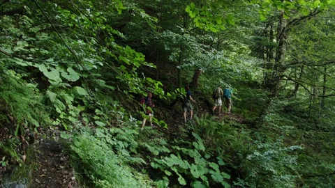 Group of students walking by hiking trail. After studying indoors, physical Video stock 208891102