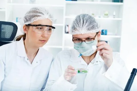 Group of the students working at the laboratory Stock Photos