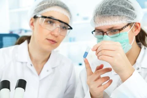 Group of the students working at the laboratory. Stock Photos