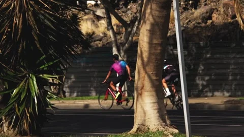 Group of stylish cyclists riding bikes on the tropical streets of Tenerife Stock Footage 320131948