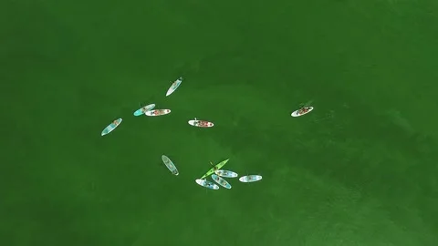 A group of supboards in the middle of a beautiful green water surface with small Stock Footage 135820407