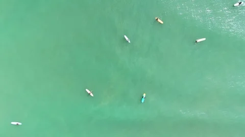 Group of Surfers Floating in Tropical Ocean Vídeos de archivo 337969500