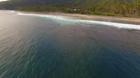 Group of surfers Stock Footage 98678272