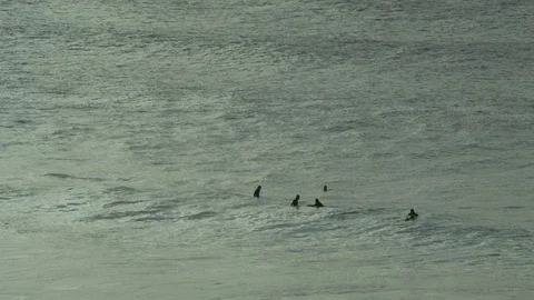 Group Of Surfers In The Ocean Видео 94101988