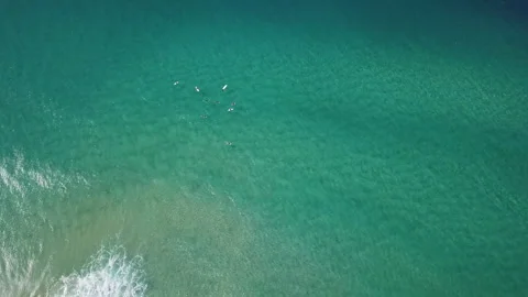 A group of surfers paddling over a large wave at Gold Coast. Concept beauty and Stock Footage 294637189