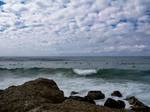 Group of Surfers. Stock Photos