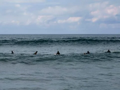 Group of surfers. Stock Photos