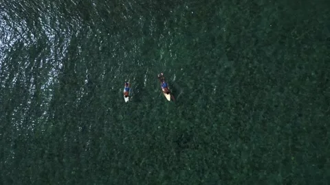 Group surfers surf paddling clear tropical ocean water. Magic aerial view drone Stock Footage 344618997