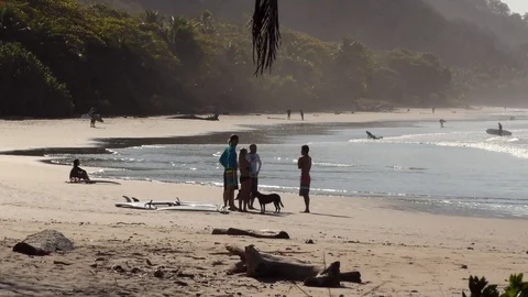A Group Of Surfers Talking On The Beach Stock Footage 107609503