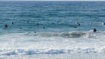 Group surfers waiting for waves Stock Footage 85512684