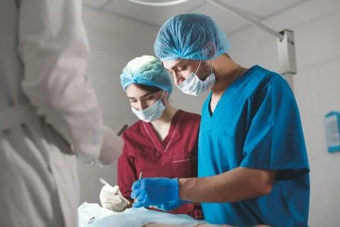 Group of surgeons at work operating in surgical theatre. Resuscitation medicine Stock Photos