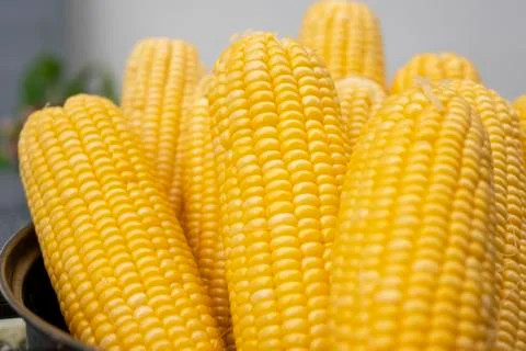 Group sweet corn in the pot on the table. Stock Photos